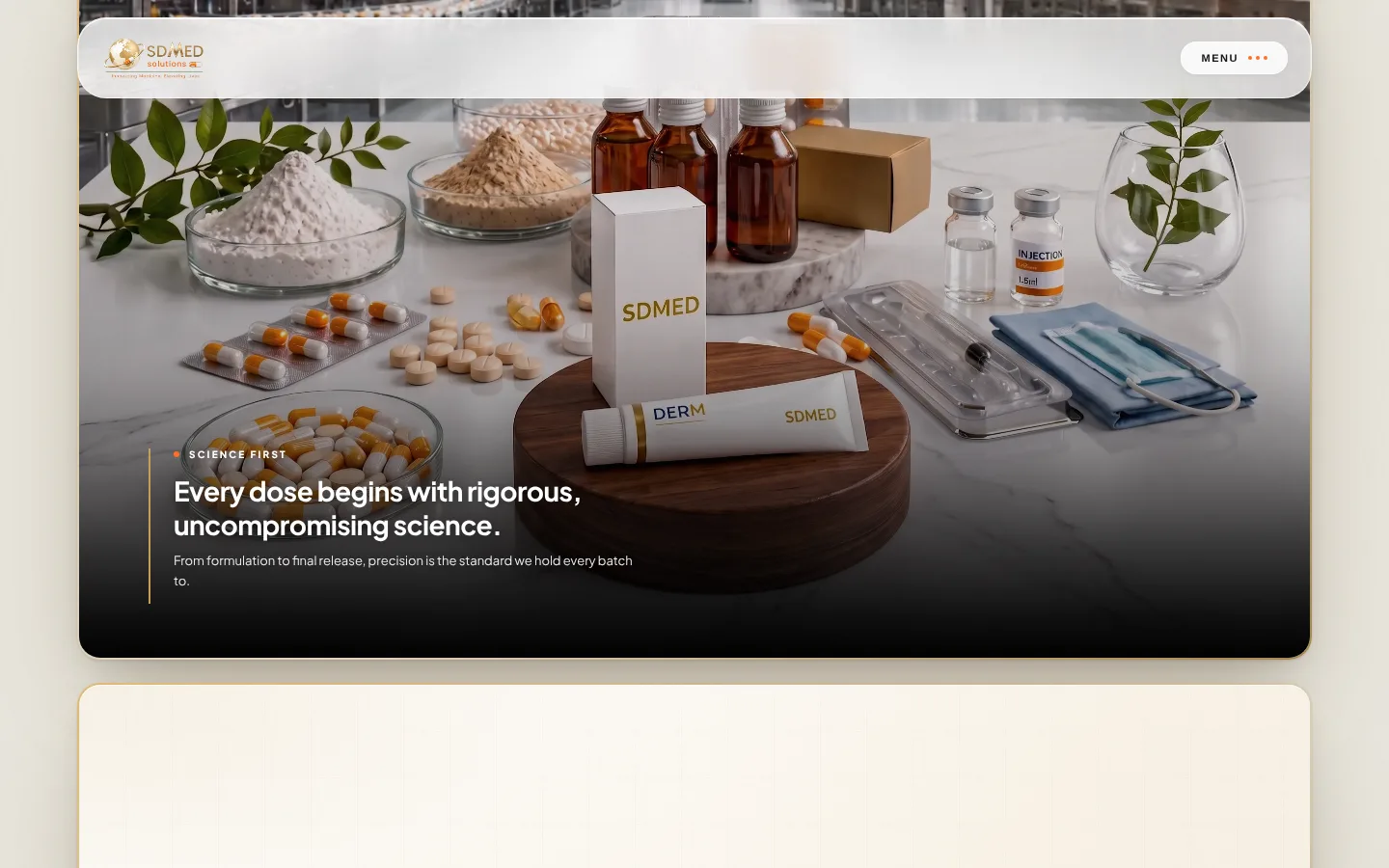 SD Med Solutions website screen 2